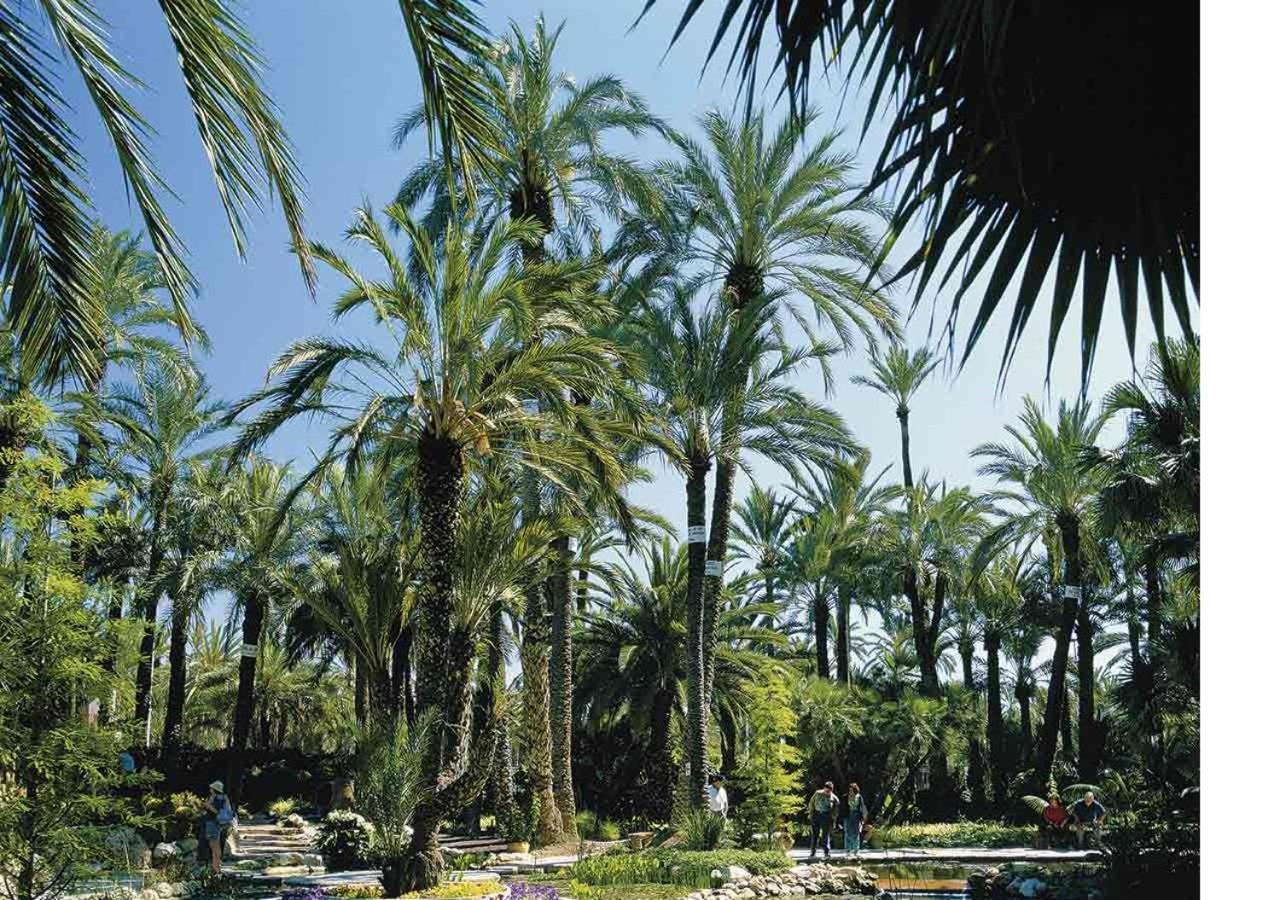 Luxury New Apartment City Centre & Beach, Alicante Exterior foto